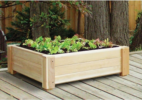 Traditional Outdoor Planters.jpg