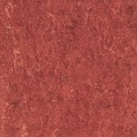 linoleum flooring in firebird red.jpg